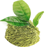 Extrakt ze zeleného čaje